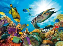 Nathan Le Récif Corallien* Animaux Marins|Fonds Marins