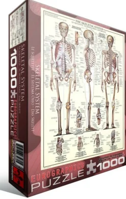 Eurographics Le Squelette*Enfant Puzzles Pour Enfants|De 1 000 Pièces