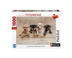 Nathan Les American Staffordshire Terriers*Enfant Chiens|Dès 6 Ans : 50 À 100 Pièces