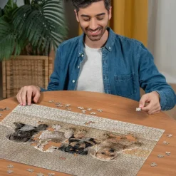 Nathan Les American Staffordshire Terriers*Enfant Chiens|Dès 6 Ans : 50 À 100 Pièces