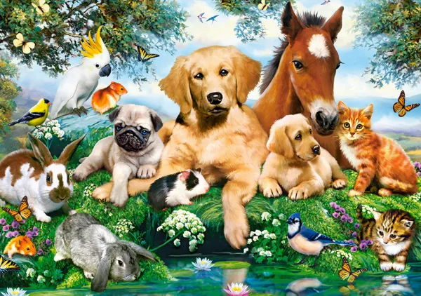 Castorland Les Amis de l'Été* Chiens|Chevaux