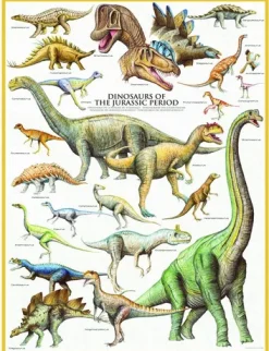 Eurographics Les Dinosaures - Période du Jurassique* Dinosaures|De 1 000 Pièces