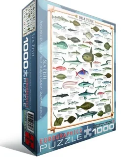 Eurographics Les poissons*Enfant Puzzles Pour Enfants|Animaux Marins