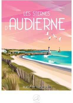 La Loutre Les sternes d'AUDIERNE Plage de trescadec* Plages Et Îles De Rêve|De 1 000 Pièces