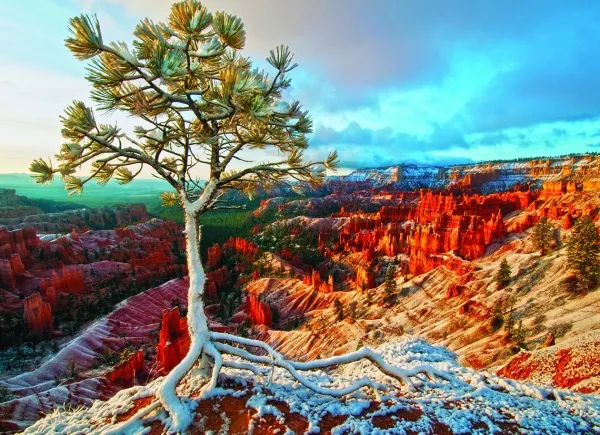 Eurographics Lever de Soleil Hivernal* Parcs Naturels Et Nationaux|Neige