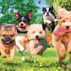 Trefl L'Heure Du Thé : Voici Les Ennuis !* Chiens|De 1 000 Pièces