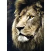 Trefl Lion* De 1 500 Pièces|De 1 500 Pièces