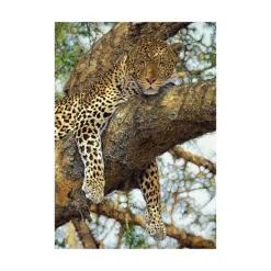 Dino Léopard* Autres Animaux|Animaux Sauvages