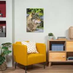 Nathan Loup Gris Européen* Loups|De 1 000 Pièces