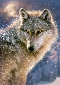 Castorland Loup Solitaire* Loups|Neige