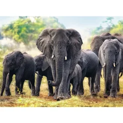 Trefl Éléphants africains* Pays D'Afrique|Éléphants