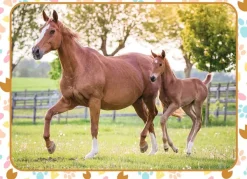 Nathan Maman et Bébé Cheval*Enfant Chevaux|Forêts, Fleurs Et Jardins