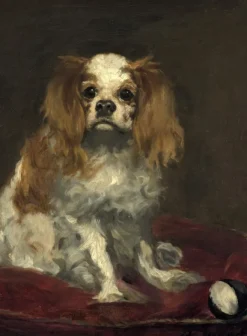 Grafika Manet Édouard - Edouard Manet : Un Cavalier King Charles Spaniel, 1866* De 2 000 Pièces|De 2 000 Pièces