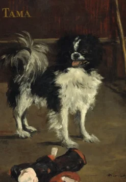 Grafika Kids Manet Édouard - Edouard Manet : Tama : Le Chien Japonais, 1875*Enfant Art|Dès 6 Ans : 50 À 100 Pièces