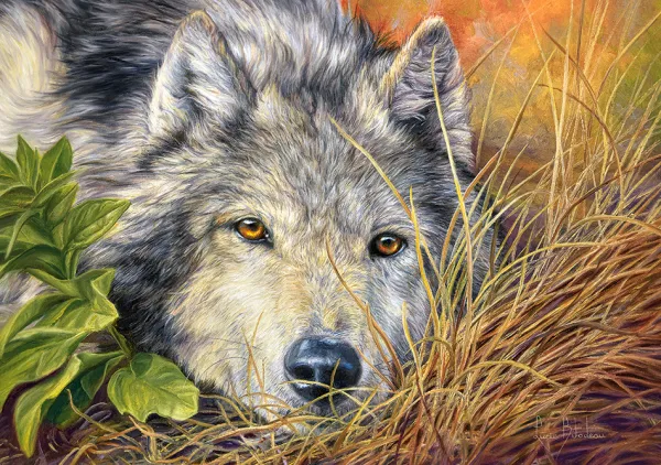 Castorland Âme Pure* Loups|De 500 À 999 Pièces