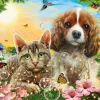 Castorland Meilleurs Amis* Chiens|Chats
