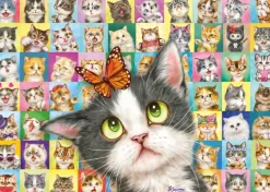 Schmidt Spiele Mimique de Chat*Femme Chats|Humour, Satire Et Wasgij