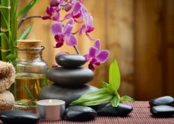 Alipson Puzzle Moment Détente* De 500 À 999 Pièces|De 500 À 999 Pièces