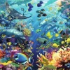Ravensburger Monde sous-marin* De 6 000 À 54 000 Pièces|De 6 000 À 54 000 Pièces