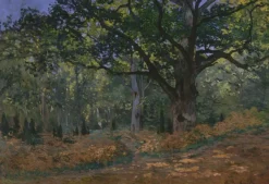 Grafika Kids Monet Claude - Pièces XXL - Claude Monet: Fontainebleau, 1865*Enfant Art|Pièces Xxl Enfants