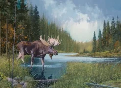 Cobble Hill Moose Lake* Forêts, Fleurs Et Jardins|De 1 000 Pièces