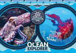 Clementoni National Geo Kids - Ocean Expedition*Enfant À Partir De 9 Ans|Puzzles Pour Enfants
