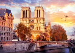 Roovi Notre Dame Paris, France* Monuments|De 500 À 999 Pièces