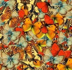 Grafika Nuée de Papillons* Oiseaux|Autres Animaux