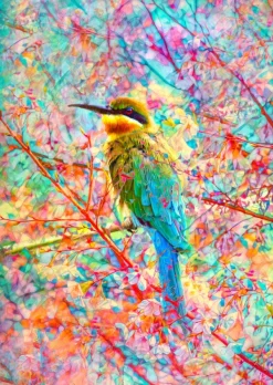 Enjoy Puzzle Oiseau Joyeux* Oiseaux|Forêts, Fleurs Et Jardins