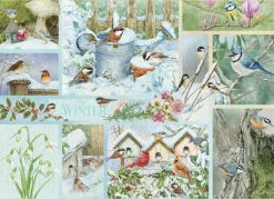 Cobble Hill Oiseaux de Jardin en Hiver* Oiseaux|Neige