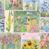 Cobble Hill Oiseaux de Jardin en Été* Oiseaux|Collages