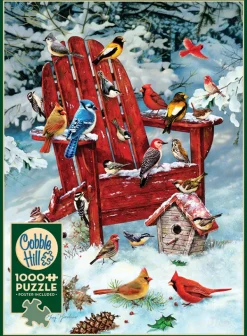 Cobble Hill Oiseaux des Adirondacks* Oiseaux|Neige