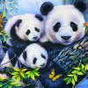 Bluebird Puzzle Panda Family*Enfant Animaux Sauvages|Animaux De La Forêt