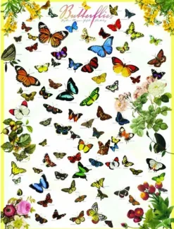 Eurographics Papillons* Autres Animaux|De 1 000 Pièces
