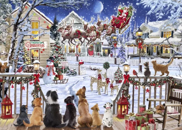 Bluebird Puzzle Pets on Porch*Femme De 1 500 Pièces|De 1 500 Pièces