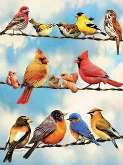 Cobble Hill Pièces XXL - Birds on a Wire* Pièces Xxl Adultes|Oiseaux