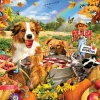 SunsOut Pièces XXL - Bobbing for Apples*Femme/Enfant Chiens|Halloween