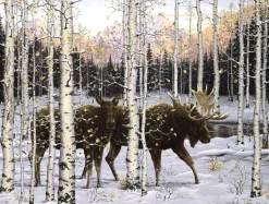 SunsOut Pièces XXL - Crépuscule au Forêt*Enfant Autres Animaux|Forêts, Fleurs Et Jardins