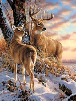 SunsOut Pièces XXL - Escapade*Enfant Animaux De La Forêt|De 500 À 999 Pièces