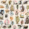 Eurographics Pièces XXL - Familiy Puzzle: Yoga Kittens*Femme/Enfant Chats|Humour, Satire Et Wasgij