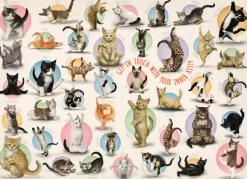 Eurographics Pièces XXL - Familiy Puzzle: Yoga Kittens*Femme/Enfant Chats|Humour, Satire Et Wasgij