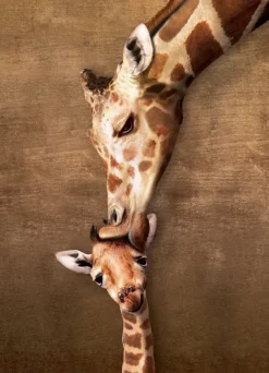 Eurographics Pièces XXL - Giraffe Mother's Kiss*Enfant Animaux Sauvages|De 500 À 999 Pièces