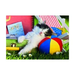 Dino Pièces XXL - La Sieste du Chaton*Enfant Chats|Dès 6 Ans : 50 À 100 Pièces