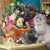 SunsOut Pièces XXL - Le Tableau des Chatons*Enfant Chats|Déco Et Objets