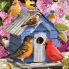 Cobble Hill Pièces XXL - Maison d'Oiseau de Printemps*Enfant Oiseaux|Forêts, Fleurs Et Jardins