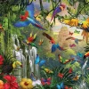 Eurographics Pièces XXL - Paradis des Oiseaux Tropicaux*Enfant Oiseaux|Animaux De La Forêt