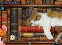 Eurographics Pièces XXL - The Cat Nap*Enfant Chats|De 500 À 999 Pièces