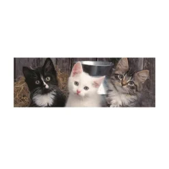 Dino Pièces XXL - Trois Chatons*Enfant Panoramique|À Partir De 9 Ans