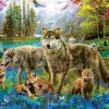 Eurographics Pièces XXL - Wolf Lake Fantasy*Enfant Loups|De 500 À 999 Pièces