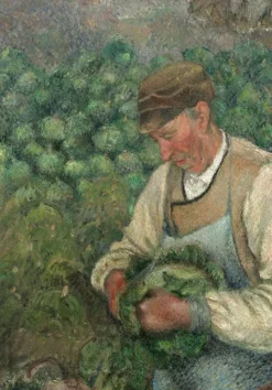 Grafika Kids Pissarro Camille - Camille Pissarro : Le Jardinier - Vieux Paysan avec Chou, 1883-1895*Enfant Art|Dès 6 Ans : 50 À 100 Pièces